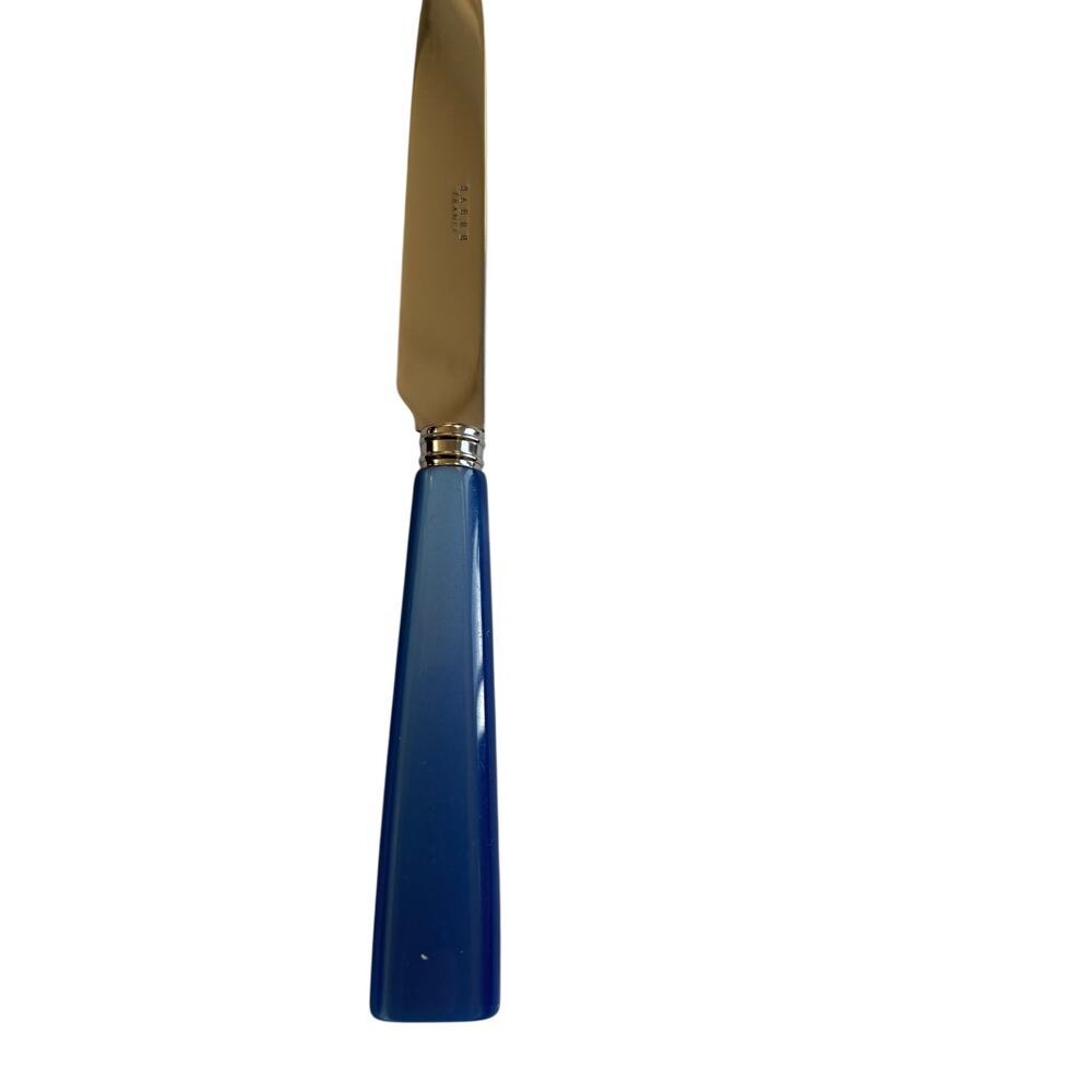NEW Sabre Paris Icône Light Blue Dinner Knife 18/10 Stainless Acrylic